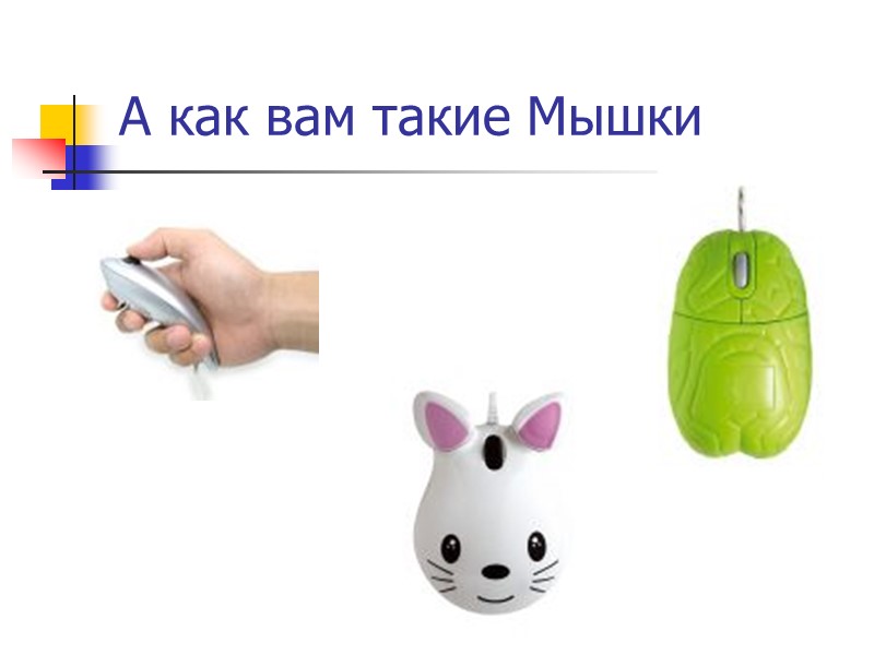 А как вам такие Мышки